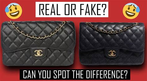 i wear fake bags and no one knows|true stories of counterfeit bags.